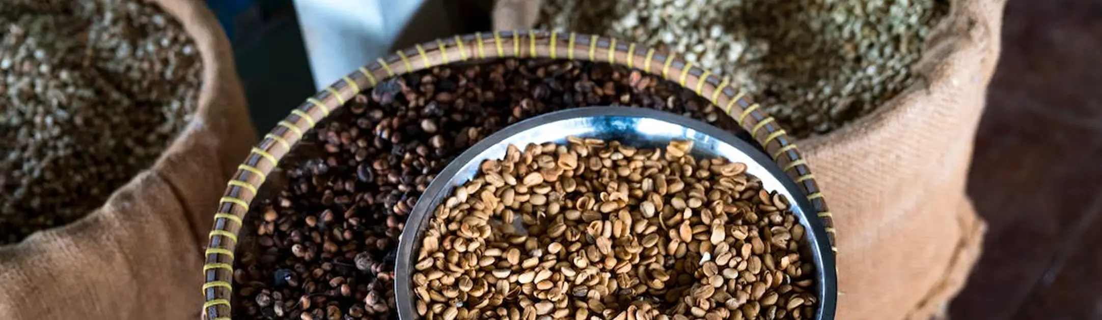 Licht gebrande, medium gebrande en donker gebrande koffiebonen