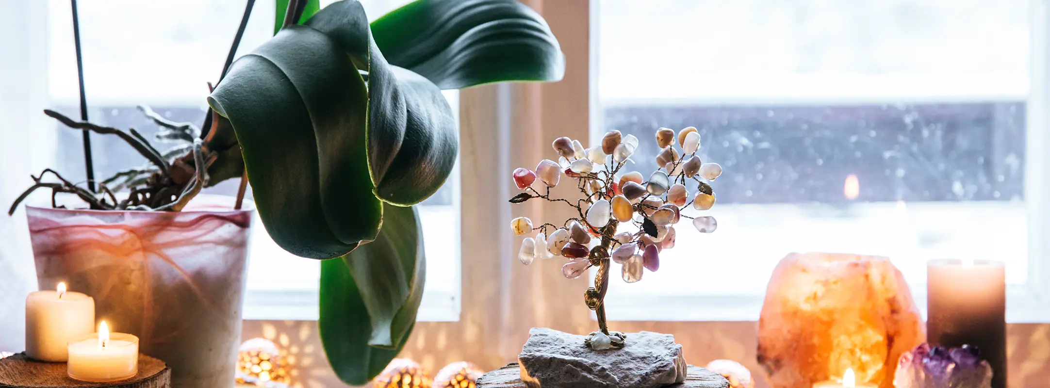 Een van de voordelen van bloemen is dat ze stress verminderen