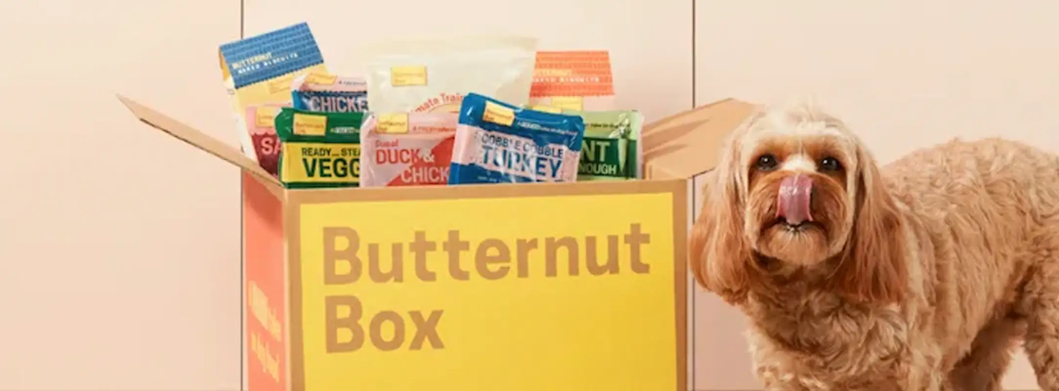 Hond met tong uit z'n bek die voor een Butternut Box staat vol verse dierenvoeding.
